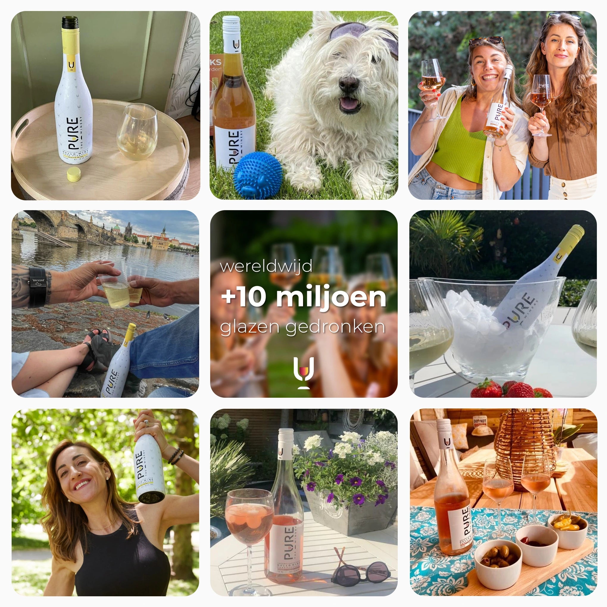 Sommerangebot: Bestseller-Paket